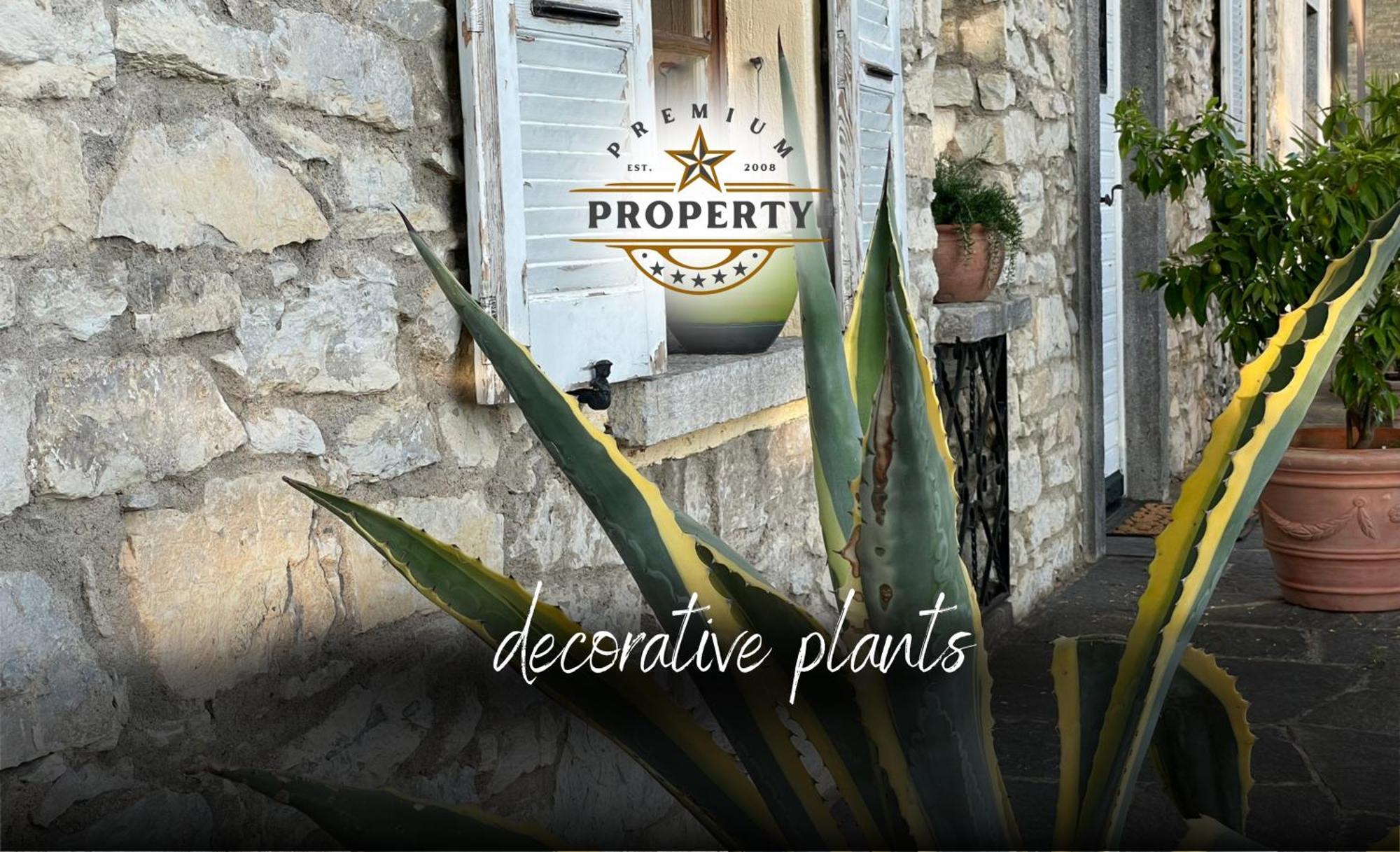 Magnificent Sunstone House, Private Parking, Bbq Area, Kids Toys, Near Como Lake I Villa Dei Leoni Morbio Inferiore Екстер'єр фото